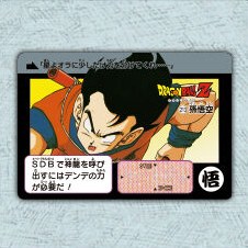 Dragon Ball Carddass Remix Vol.1 normal card – Part 6 No.213