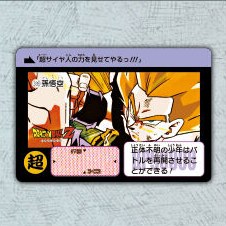 Dragon Ball Carddass Remix Vol.1 normal card – Part 9 No.339